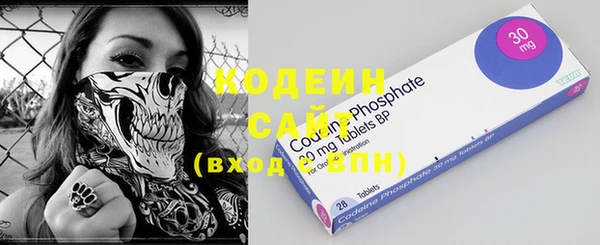 шишки Пересвет