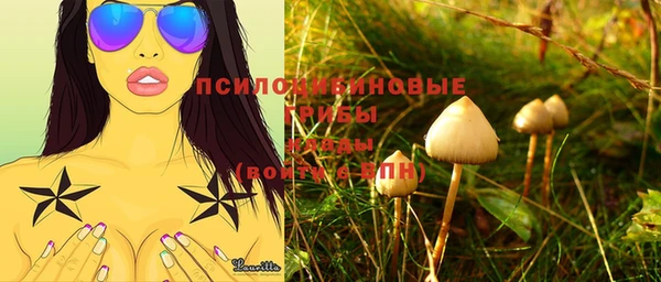 прущий лед Балахна
