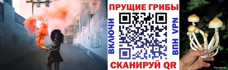 Псилоцибиновые грибы Magic Shrooms  Купить где  Новокузнецк 